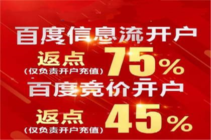 搜索引擎营销（SEM）在移动端的投放案例